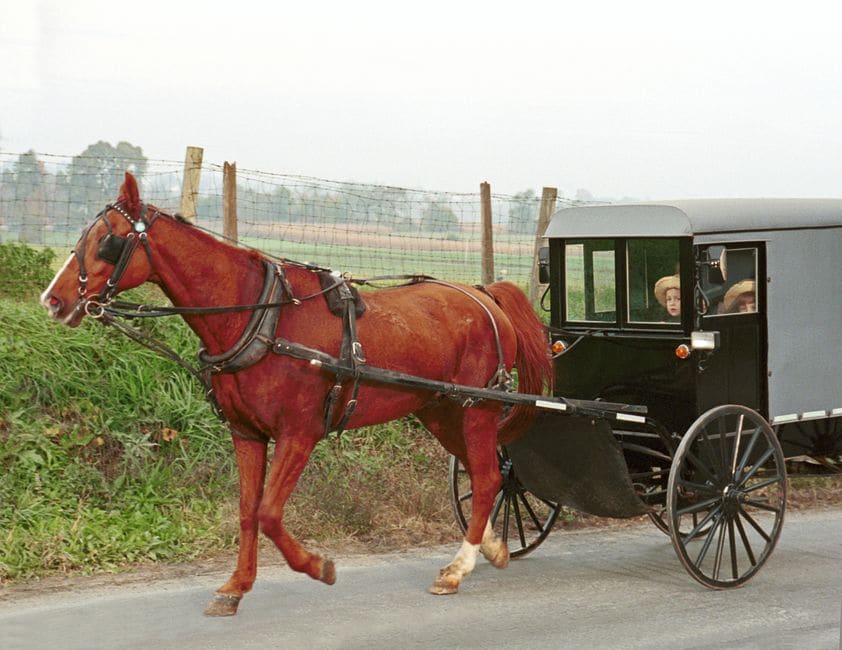 Barn Furniture Amish Oak & Mission Furniture